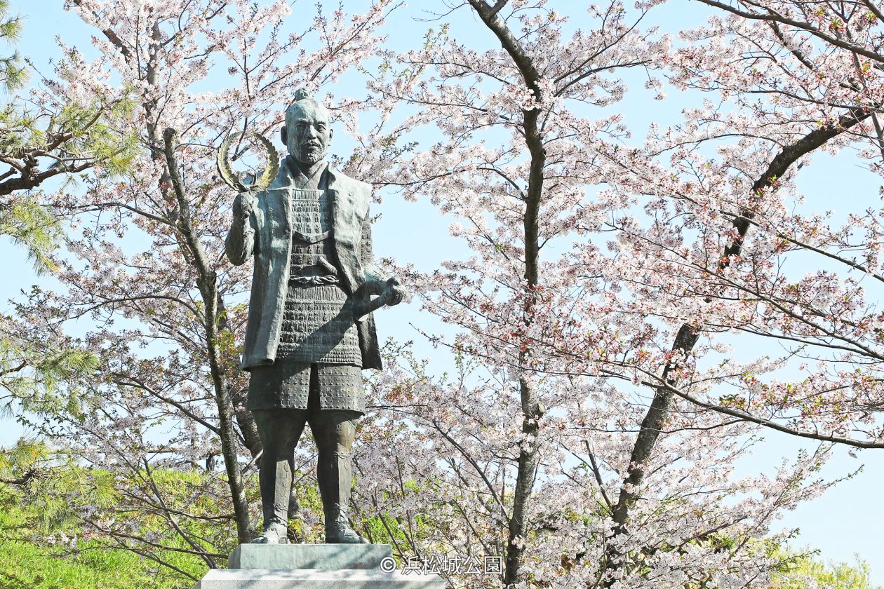 A bronze statue of Tokugawa Ieyasu in samurai attire, framed by pink cherry blossoms.
