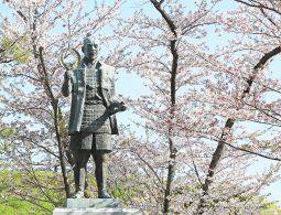 A bronze statue of Tokugawa Ieyasu in samurai attire, framed by pink cherry blossoms.