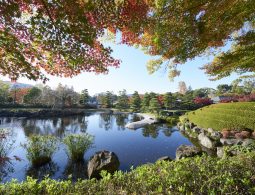 Momijiyama Garden in Sunpu Castle Park, featuring a pond and rocks surrounded by colorful red and green autumn foliage.