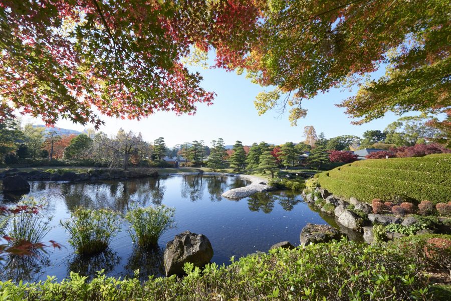Momijiyama Garden in Sunpu Castle Park, featuring a pond and rocks surrounded by colorful red and green autumn foliage.