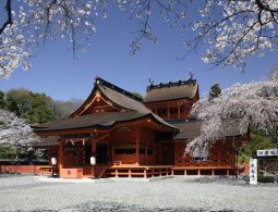 The ornate, orange-red Honden (Main Hall) of Sengen Taisha Shrine under a clear blue sky, surrounded by cherry blossoms.