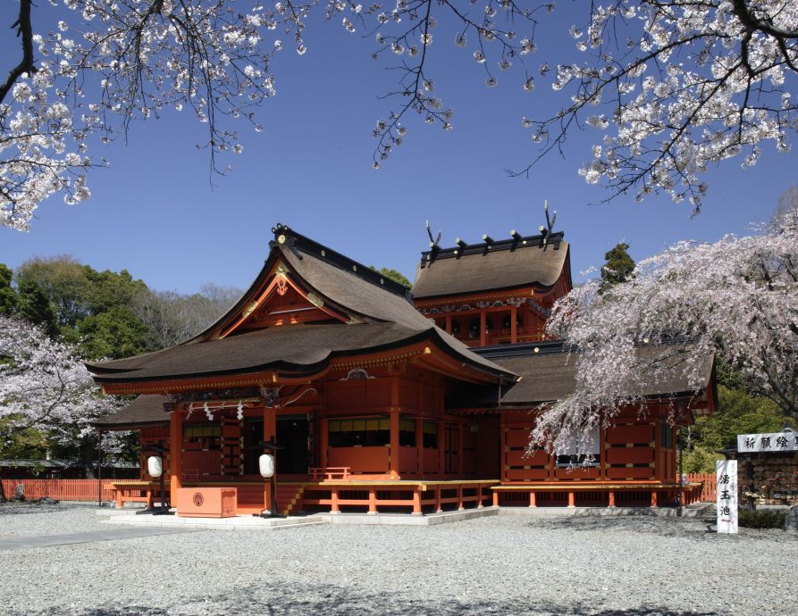 The ornate, orange-red Honden (Main Hall) of Sengen Taisha Shrine under a clear blue sky, surrounded by cherry blossoms.