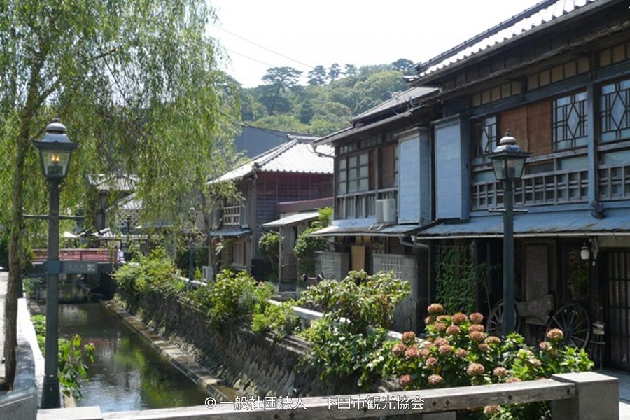 Traditional Japanese buildings with tiled roofs and a small canal lining the historic Perry Road in Shimoda.