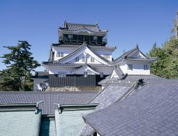 The main keep of the reconstructed Okazaki Castle with white walls and dark tiled roofs, viewed over surrounding rooftops.