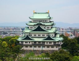The reconstructed main keep of Nagoya Castle with green roofs and golden shachihoko (mythical fish) ornaments, viewed from a distance above the trees.