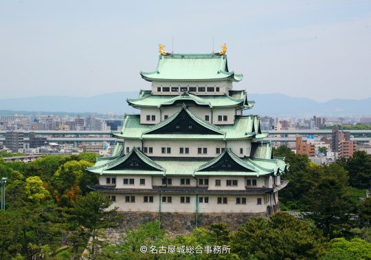 The reconstructed main keep of Nagoya Castle with green roofs and golden shachihoko (mythical fish) ornaments, viewed from a distance above the trees.