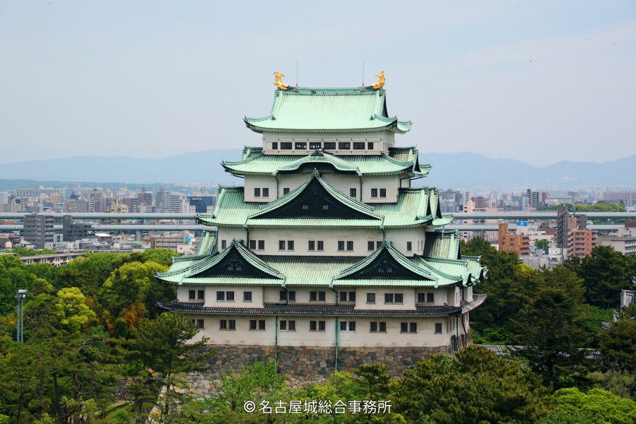 The reconstructed main keep of Nagoya Castle with green roofs and golden shachihoko (mythical fish) ornaments, viewed from a distance above the trees.