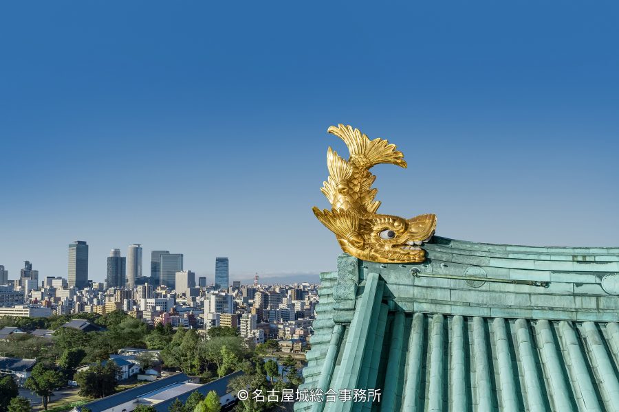 Close-up of the golden shachihoko (mystical fish) ornament on the green roof of Nagoya Castle, with the modern Nagoya city skyline in the background.