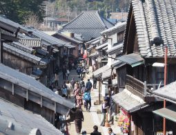 High-angle view of a street crowded with people and lined by traditional houses in Seki-juku.