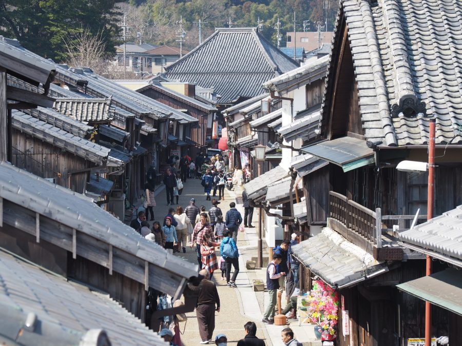 High-angle view of a street crowded with people and lined by traditional houses in Seki-juku.