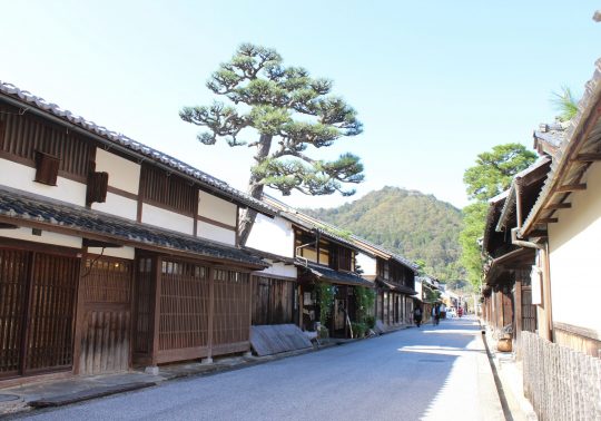 A street in Omihachiman lined with traditional white-walled and dark-wood merchant houses, with a large pine tree and a steep hill in the background.