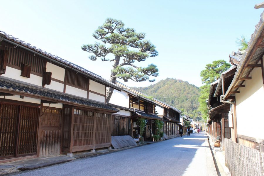 A street in Omihachiman lined with traditional white-walled and dark-wood merchant houses, with a large pine tree and a steep hill in the background.