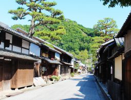 with a large pine tree and a steep hill in the background.