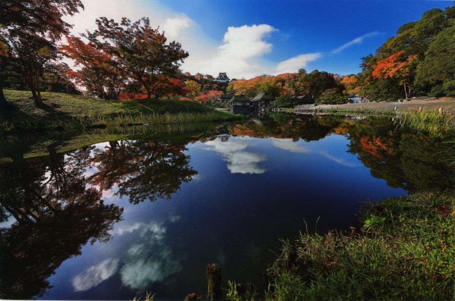 Pond in Genkyu-en Garden with reflections of the sky and autumn foliage. Hikone Castle keep is visible in the distance.