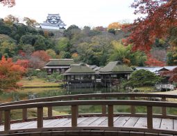 Genkyu-en Garden pond with thatched-roof tea houses and Hikone Castle keep visible on the hill in the background, surrounded by autumn trees.