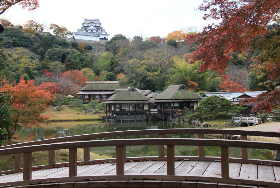 Genkyu-en Garden pond with thatched-roof tea houses and Hikone Castle keep visible on the hill in the background, surrounded by autumn trees.