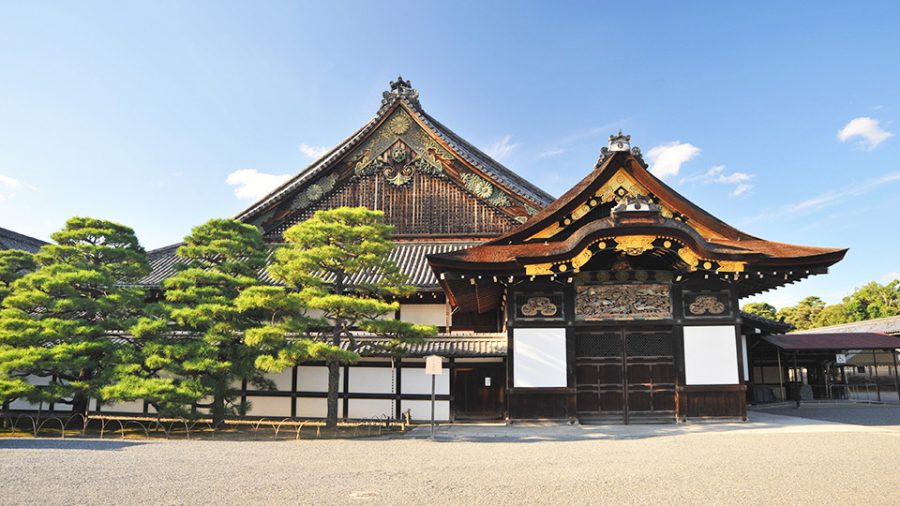 The main entrance gate to the Ninomaru Palace of Nijo Castle, with a dramatically curved roof and a meticulously pruned pine tree.