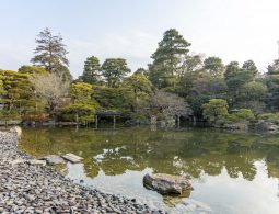 A tranquil view of the Oikeniwa Garden at the Kyoto Imperial Palace, showing the pond from the rocky shore, surrounded by meticulously maintained pine trees and a stone bridge reflecting in the calm water.