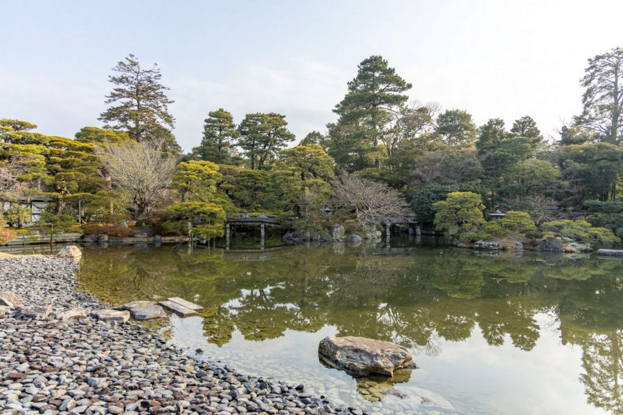 A tranquil view of the Oikeniwa Garden at the Kyoto Imperial Palace, showing the pond from the rocky shore, surrounded by meticulously maintained pine trees and a stone bridge reflecting in the calm water.