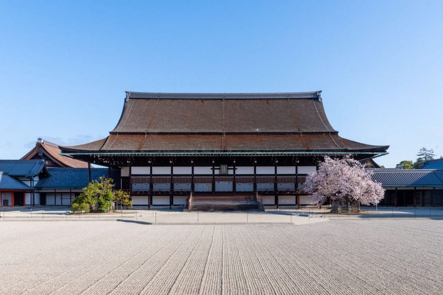 The Shishinden (Main Hall) of the Kyoto Imperial Palace. This is the most important ceremonial building within the palace grounds, where enthronement ceremonies were traditionally held. The majestic structure features a traditional cypress bark roof (hiwadabuki) and faces a large courtyard covered in white gravel. To the right of the stairs (from the viewer's perspective), the famous "Sakon no Sakura" (Cherry of the Left Guard) is in full bloom.
