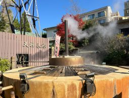 A large, steaming hot spring source display (Tensin Sen Gen) in Arima Onsen, with a tall pipe emitting steam and red maple leaves in the background.