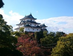 The main keep of Wakayama Castle with its green-tiled roof, rising above the surrounding autumn foliage and trees.