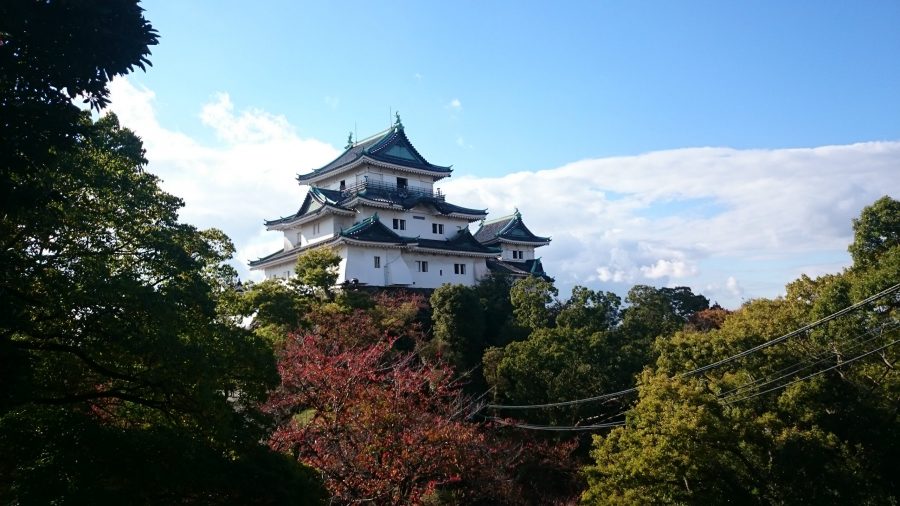 The main keep of Wakayama Castle with its green-tiled roof, rising above the surrounding autumn foliage and trees.