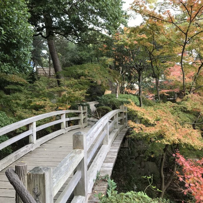 A wooden arched bridge crossing a stream in the Momijidani Garden on the Wakayama Castle grounds, surrounded by colorful autumn leaves.