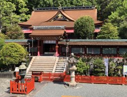 The approach to Kishu Toshogu Shrine, showing the richly colored, ornate temple building behind a red fence and stone lanterns.