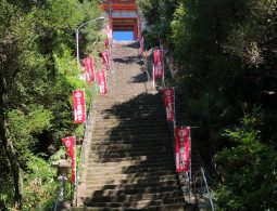The long, steep stone staircase (Otoko-zaka) leading up through the forest to the brightly colored Romon Gate of Kishu Toshogu Shrine.