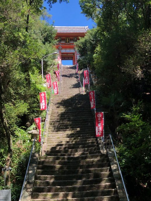 The long, steep stone staircase (Otoko-zaka) leading up through the forest to the brightly colored Romon Gate of Kishu Toshogu Shrine.