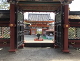 An ornate red and black gate (likely a rōmon or entrance gate) of Kishū Tōshō-gū Shrine, framed by open doors and featuring intricate carvings.