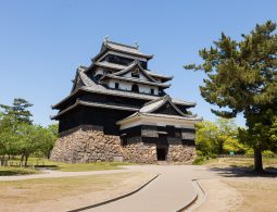 The black-walled Matsue Castle keep and stone base, standing on a grassy hill under a clear blue sky.