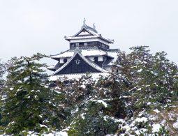 Matsue Castle keep in winter, seen rising above snow-covered green trees.