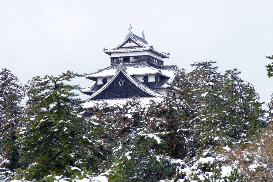 Matsue Castle keep in winter, seen rising above snow-covered green trees.