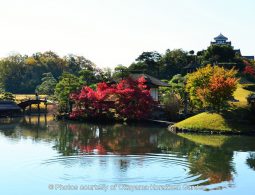 Autumn view of Okayama Korakuen Garden's central pond, reflecting vibrant red maple leaves and a small teahouse, with Okayama Castle visible on the hill in the distance.