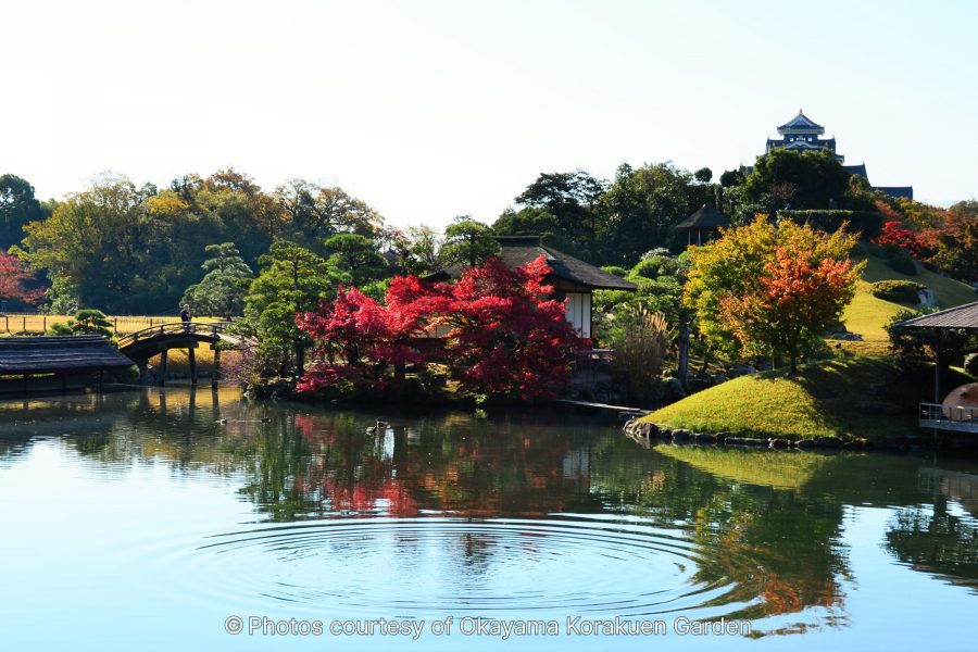 Autumn view of Okayama Korakuen Garden's central pond, reflecting vibrant red maple leaves and a small teahouse, with Okayama Castle visible on the hill in the distance.