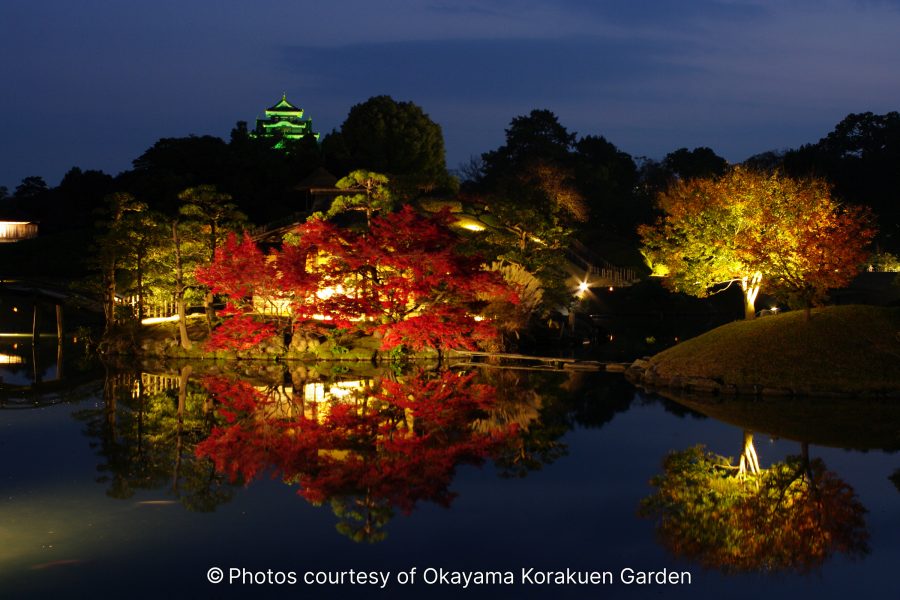Night illumination of Okayama Korakuen Garden with autumn colors reflecting in the dark pond and the green-lit Okayama Castle in the background.