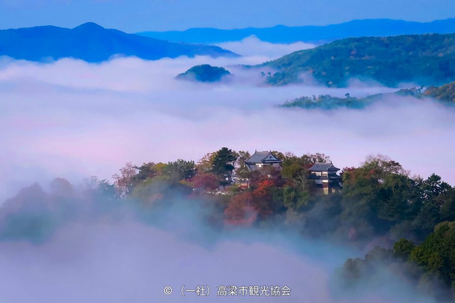 Bitchu Matsuyama Castle floating above a sea of clouds, with surrounding hills visible in the background.