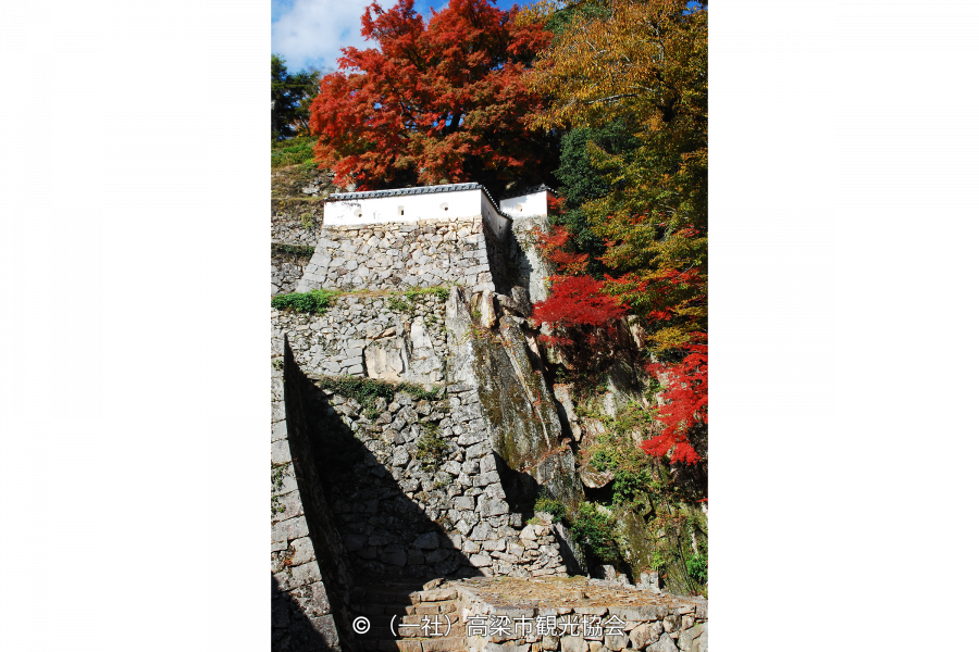 Steep stone walls and a stone staircase leading up to a white tsuiji wall on the mountain, surrounded by vibrant red and green autumn foliage.
