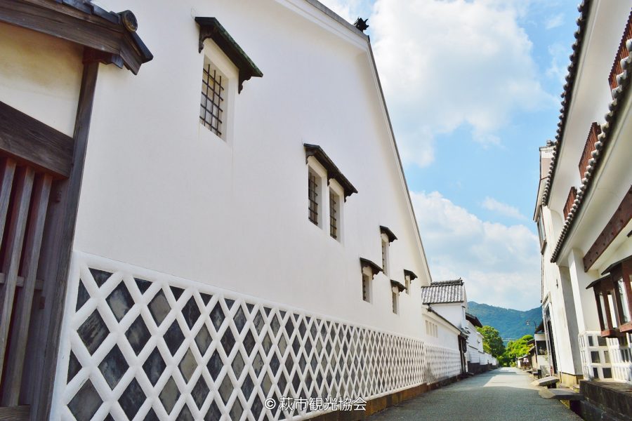 The preserved streetscape of Hagi Castle Town, featuring a large white earthen wall with a diamond-patterned namako-kabe base under a blue sky.