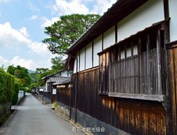 A narrow, preserved street in Hagi Castle Town bordered by a tall hedge and white-and-dark wood samurai residences under a clear blue sky.
