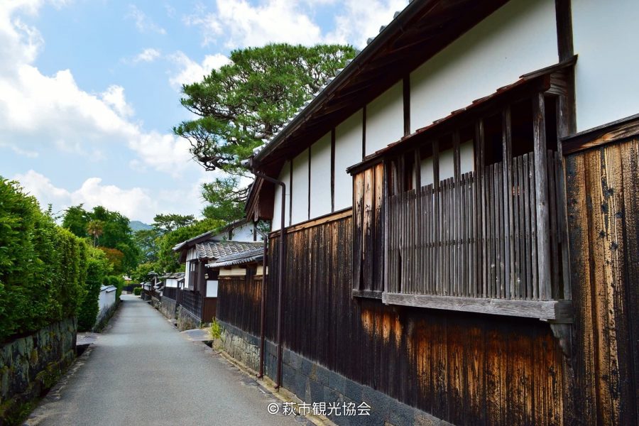 A narrow, preserved street in Hagi Castle Town bordered by a tall hedge and white-and-dark wood samurai residences under a clear blue sky.