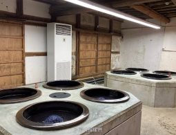 The interior of the traditional indigo dyeing workshop (Nedoko) with concrete vats containing deep blue indigo dye.