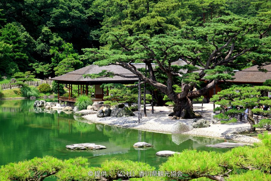 The Kikugetsutei teahouse complex on the edge of the pond, framed by a massive, sculpted pine tree and reflecting in the green water.