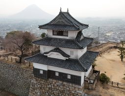 Marugame Castle keep perched atop its stone walls, overlooking the city on a misty day, with the conical Mount Iino (Sanuki Fuji) in the distance.