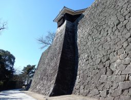 The towering, sloped stone wall (ishigaki) of Matsuyama Castle, showing the impressive height and craftsmanship of the Edo period construction.