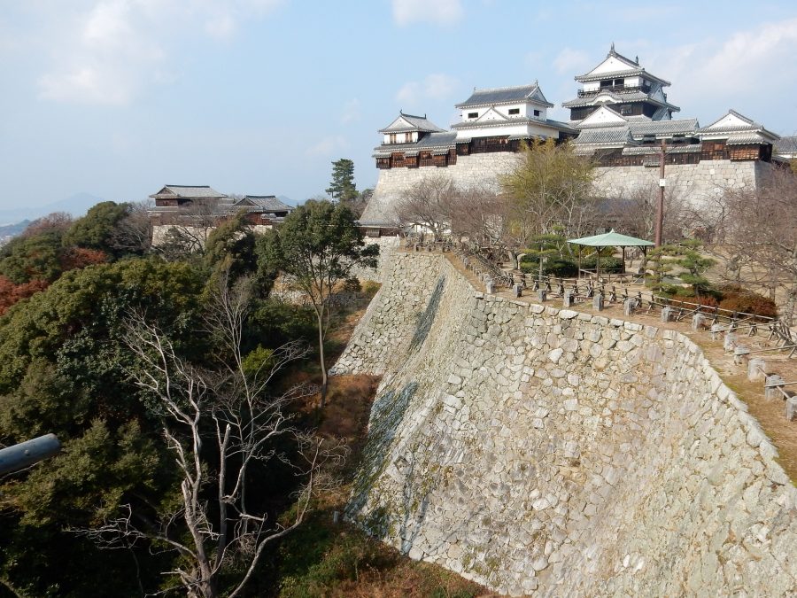 A long-distance view of the Matsuyama Castle complex, showing the connected keeps and structures built atop high stone walls, surrounded by park grounds.
