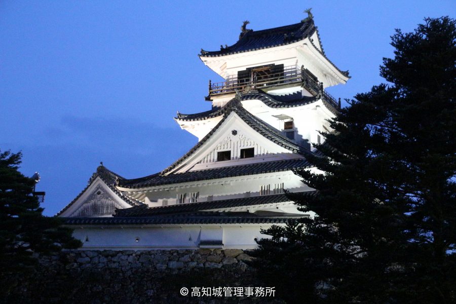 Kochi Castle keep illuminated at dusk against a deep blue sky.