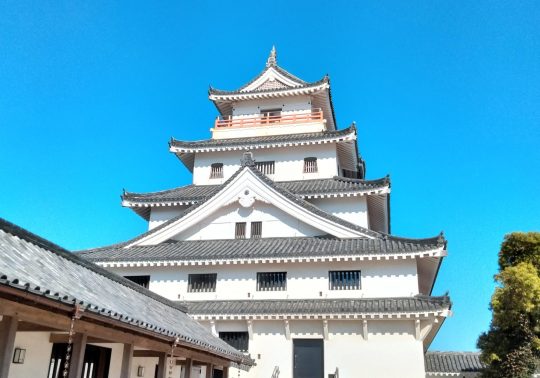 The main keep of Karatsu Castle, featuring white walls and dark tiled roofs, viewed from the courtyard under a bright blue sky.